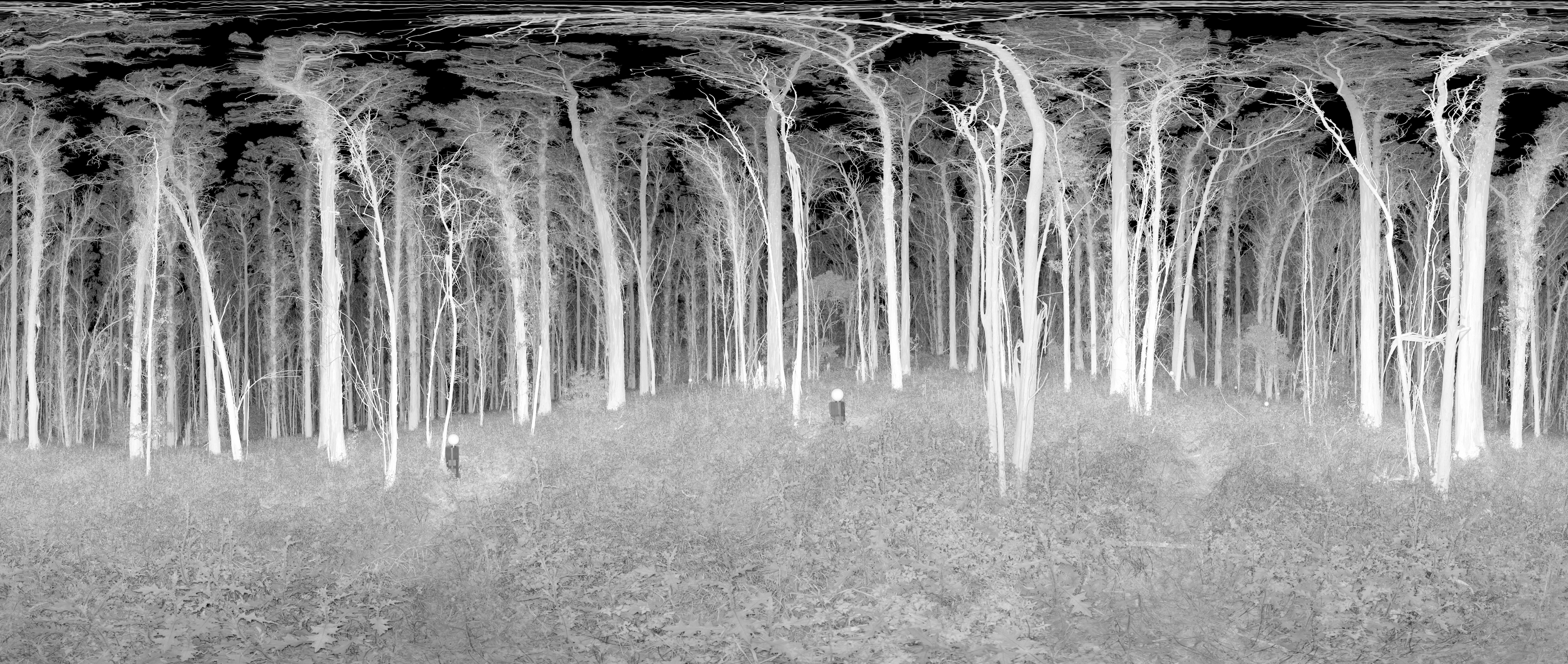 LiDAR point cloud scan — geospatial terrain and surface detail