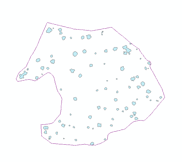 NNG polygons for candidate tree bases