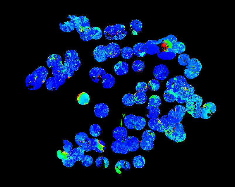 Surface points clipped by buffers