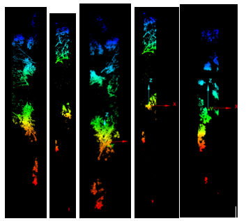 Poor stem extraction example