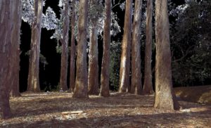 Strawberry Creek LiDAR visualization - bottom of post